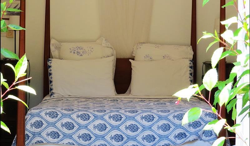 apartments for sale in las terrenas