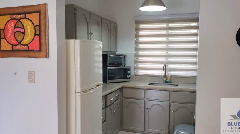 houses for sale in cabarete