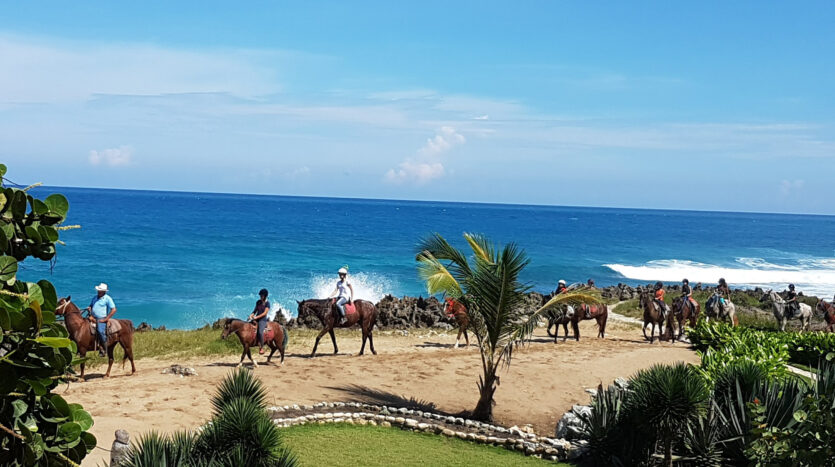 Horses beside the Ocean