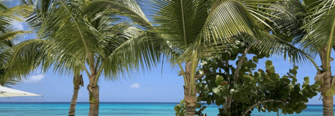 Dominican Houses for Sale