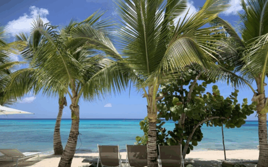 Dominican Houses for Sale