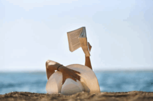 Rentals in the Dominican Republic