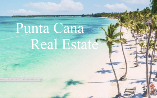 Aerial view of Bavaro beach and coastline in Punta Cana, Dominican Republic
