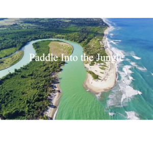 Paddleboarding upriver into the jungle