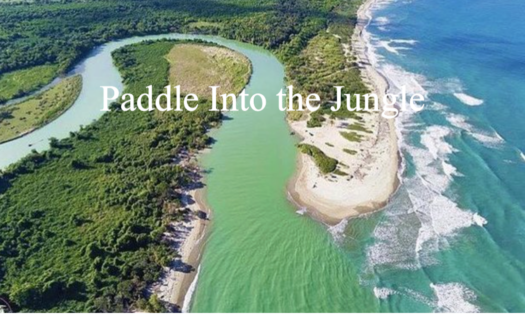 Paddleboarding upriver into the jungle