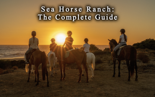 Oceanfront villa and equestrian center in Sea Horse Ranch, between Sosúa and Cabarete, Dominican Republic