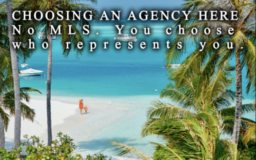 Blue Sail Realty agent showing a Cabarete villa to international buyers on the Dominican North Coast