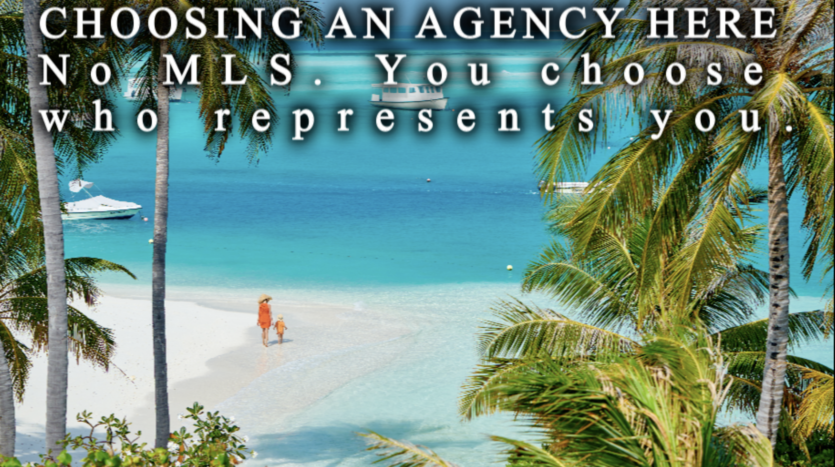 Blue Sail Realty agent showing a Cabarete villa to international buyers on the Dominican North Coast