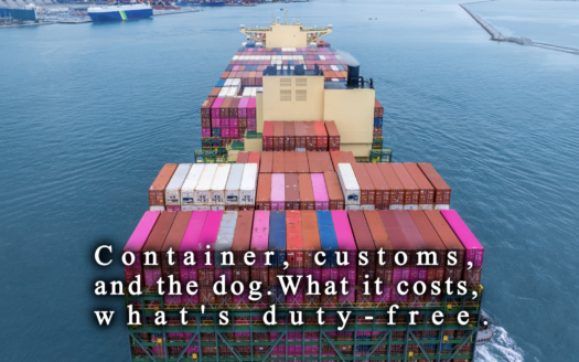 Shipping container arriving at Puerto Plata port with a family and their dog on a Cabarete villa terrace